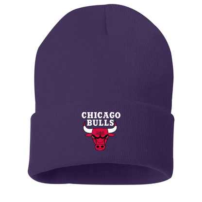 Chicago Bulls Beanie Hat