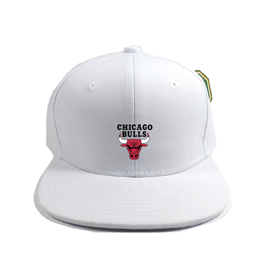 Chicago Bulls Snapback Hat